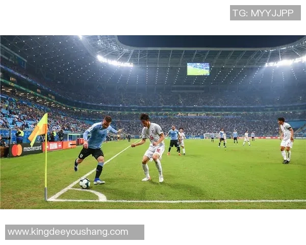 央视足球球星宣布退役 向辉煌职业生涯画上圆满句号